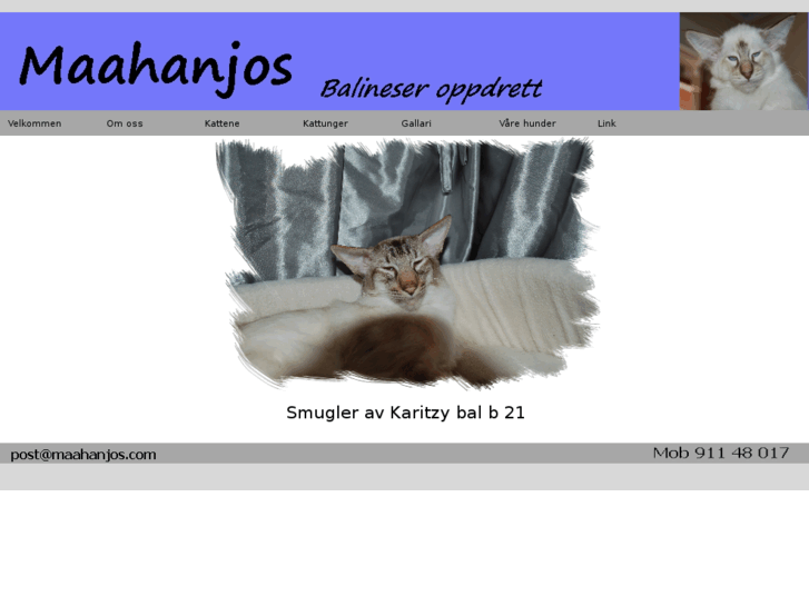 www.maahanjos.com