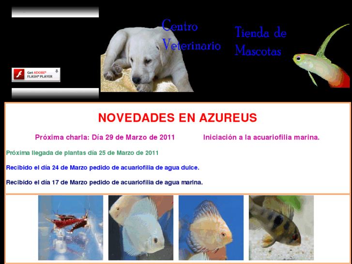 www.cvazureus.com