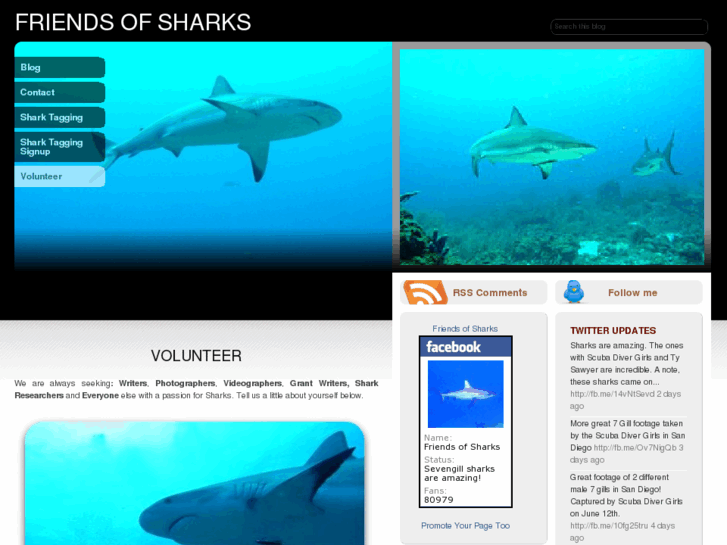 www.friendsofsharks.com