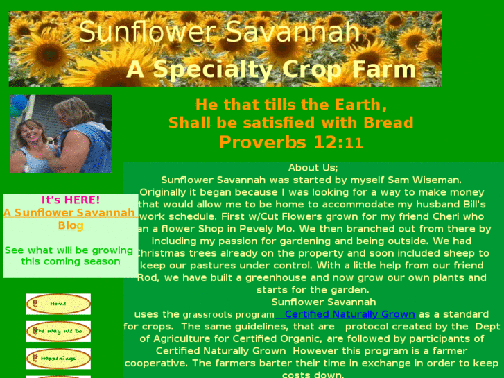 www.sunflowersavannah.com