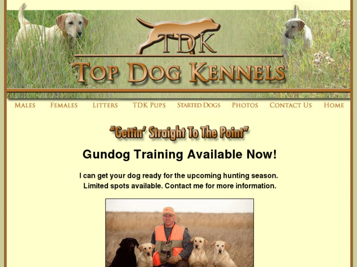 www.tdkpointinglabs.com