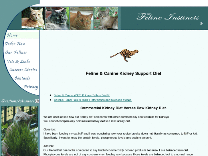 www.felinekidneydiet.com