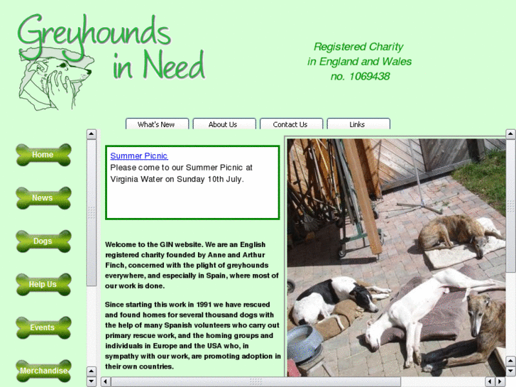 www.greyhoundsinneed.com