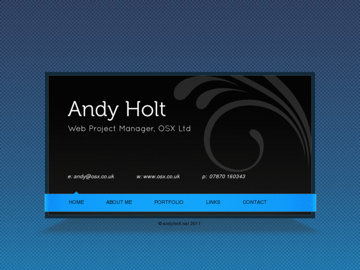 www.andyholt.net