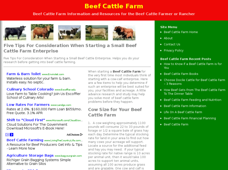 www.beefcattlefarm.com