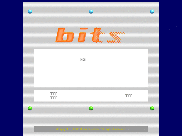 www.bits-ps.com