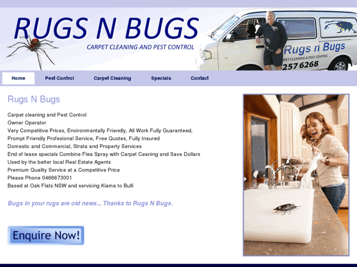 www.rugsnbugs.com