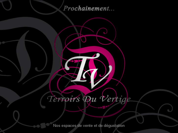 www.terroirsduvertige.com