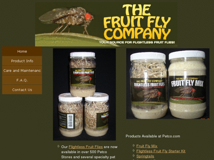 www.thefruitflycompany.com