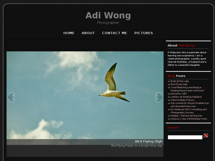 www.adiwong.net