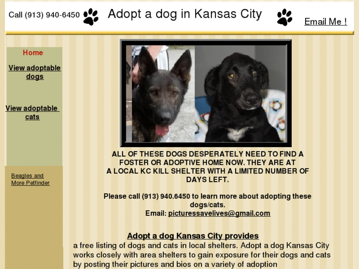 www.adoptadogkansascity.com