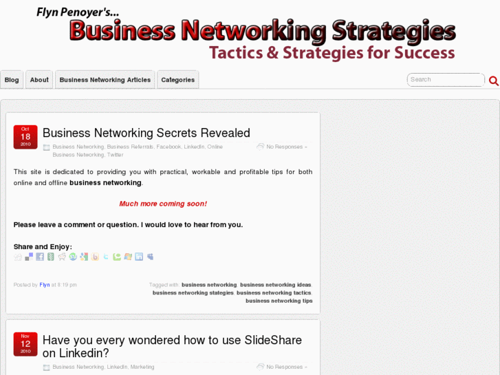 www.businessnetworkingstrategies.com