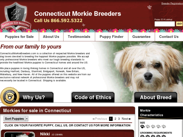 www.connecticutmorkiebreeders.com