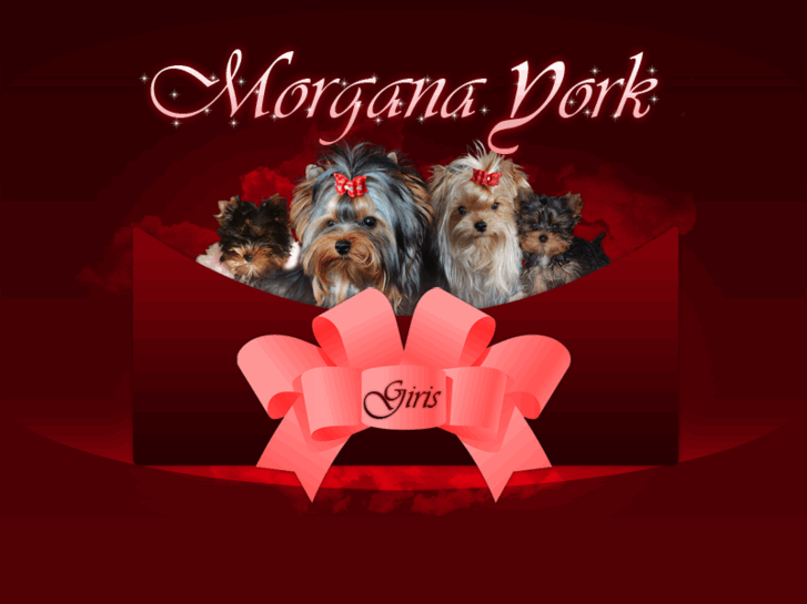 www.morganayork.com
