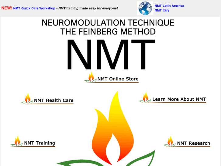 www.neuromodulationtechnique.com