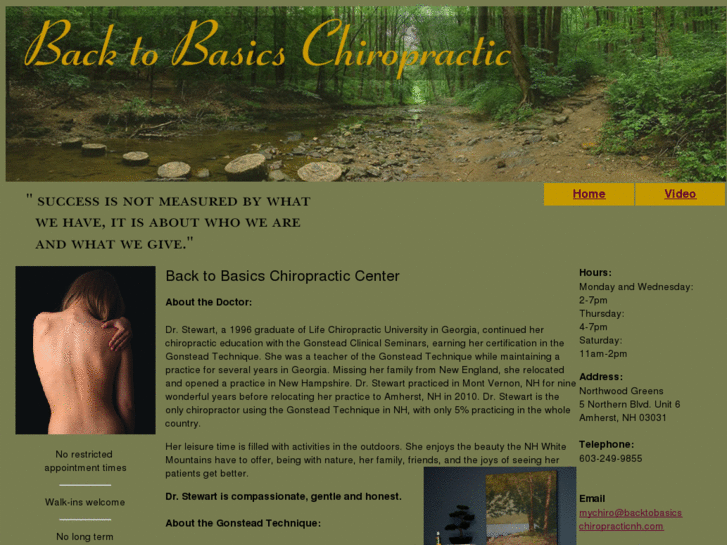 www.backtobasicschiropracticnh.com