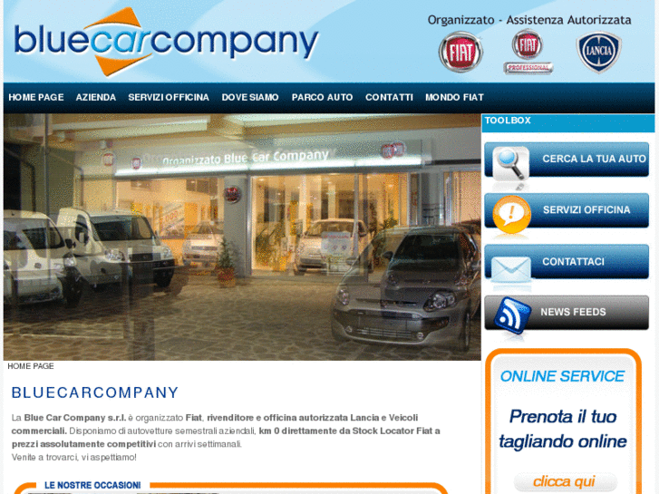 www.bluecarcompany.com