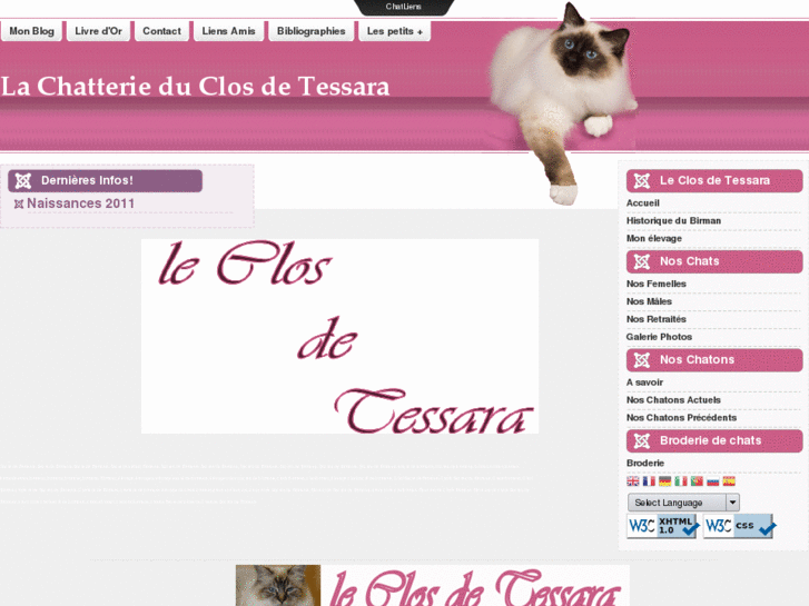 www.chats-sacres-de-birmanie-tessara.com