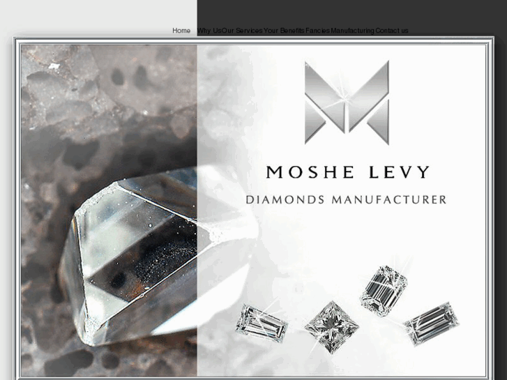 www.moshelevy.com