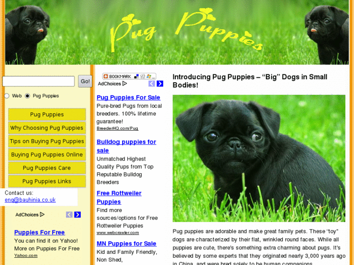 www.pugpuppies.org.uk