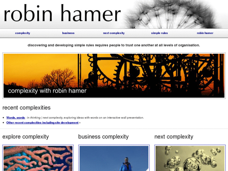 www.robinhamer.com