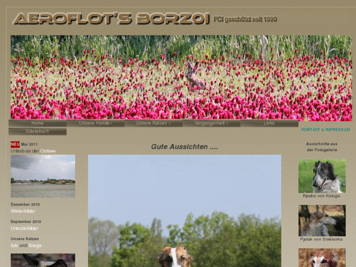 www.aeroflots-barsoi.com