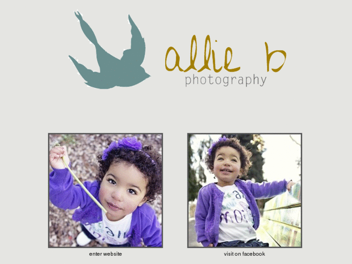 www.alliebransonphoto.com