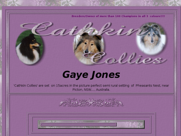 www.cathkincollies.com