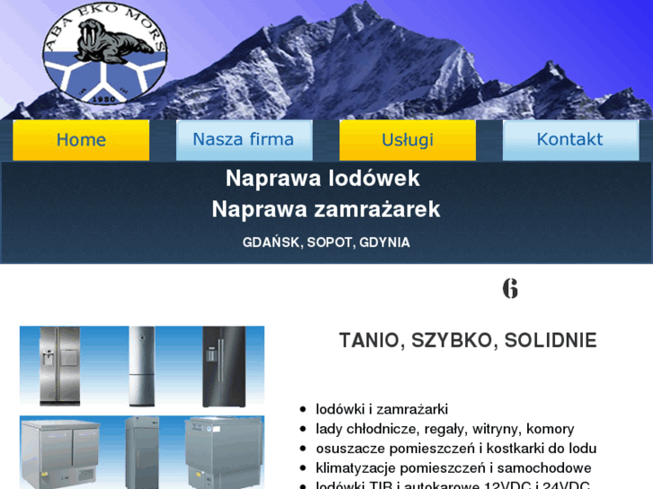 www.naprawalodowek.com.pl