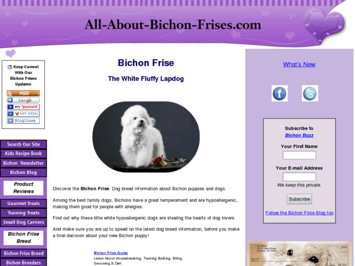 www.all-about-bichon-frises.com