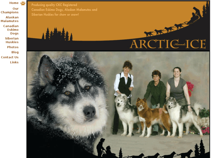 www.arcticicekennels.com