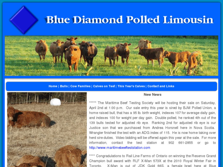 www.bluediamondlimousin.com