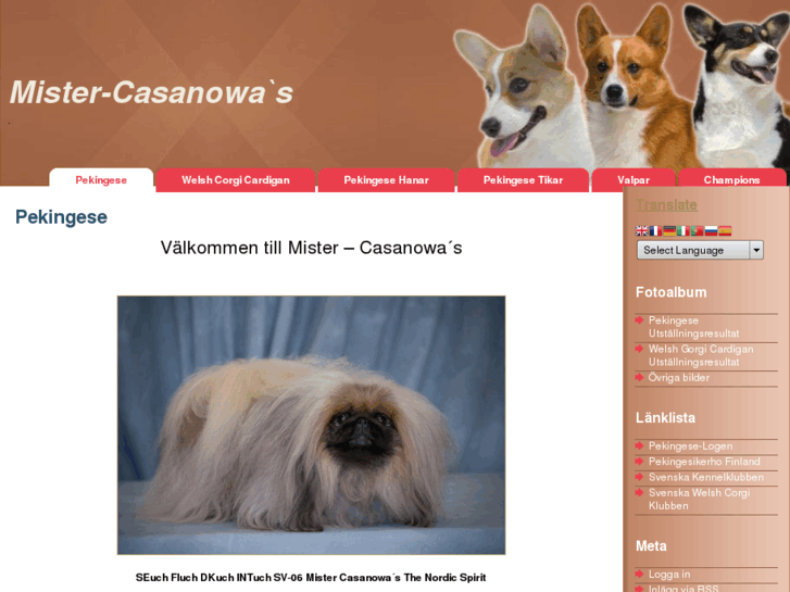 www.casanowas.com