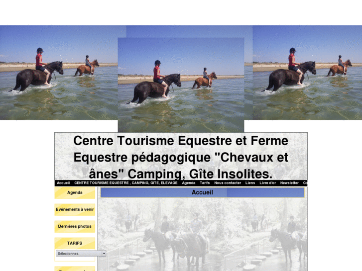 www.cte-chevauxetanes-camping-gite.com