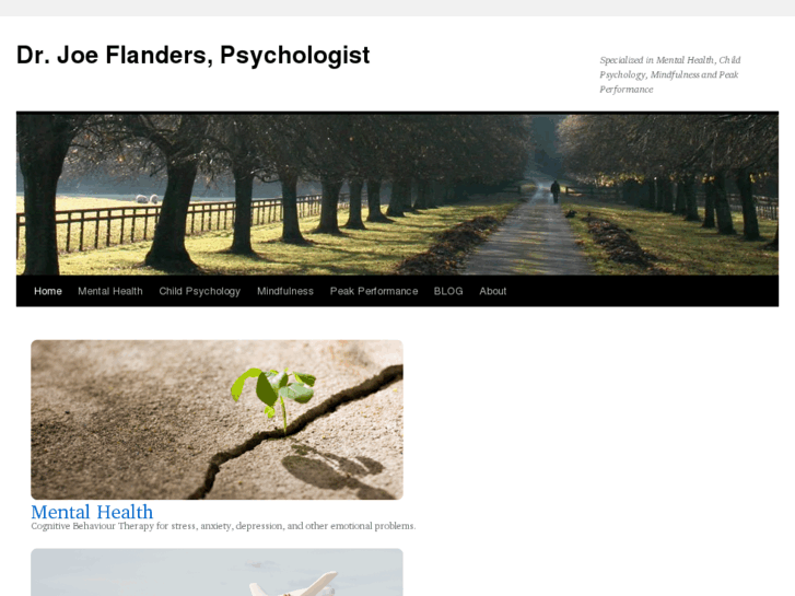 www.drjoeflanders.com