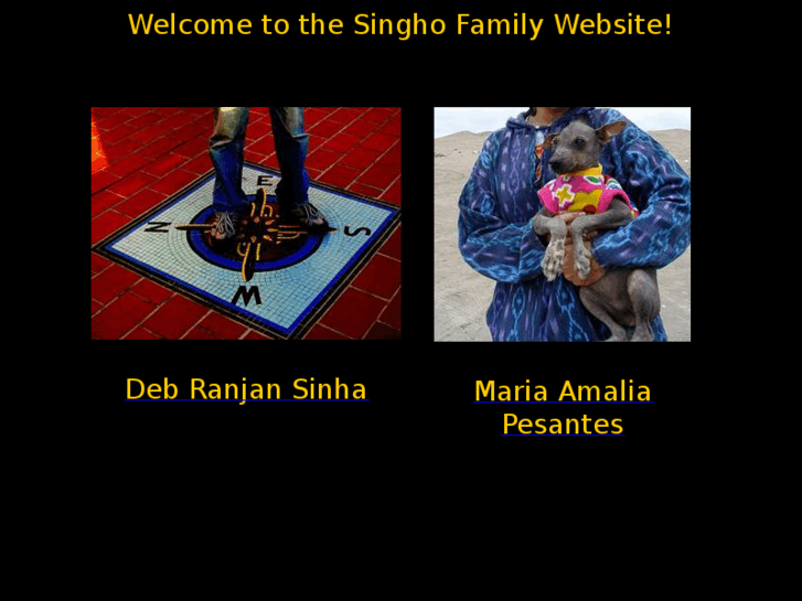 www.singho.net