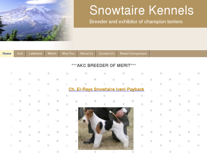 www.snowtaire.com