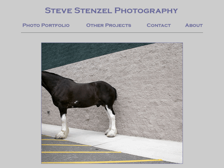 www.stevestenzel.com