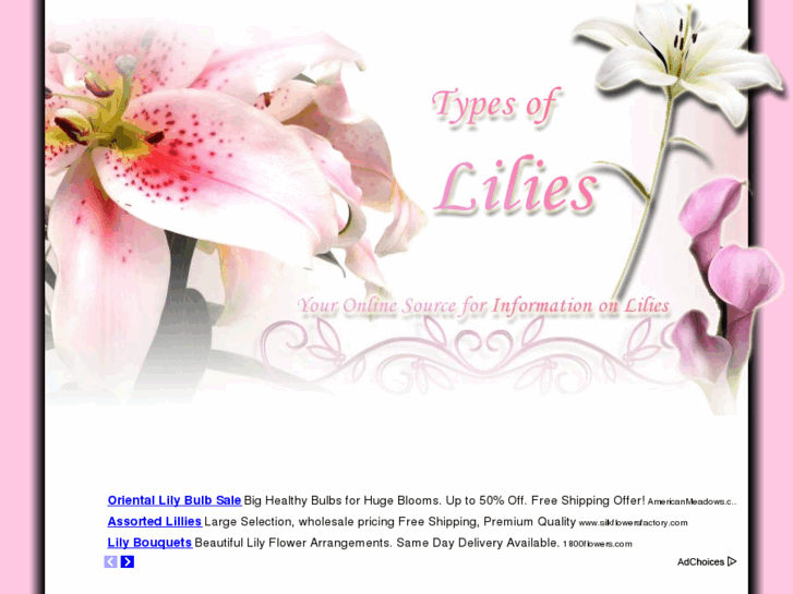 www.typesoflilies.com