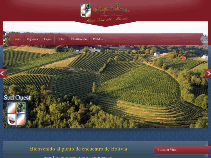 www.vino-de-francia.com