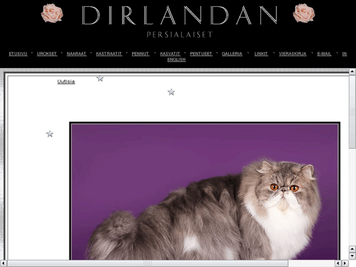 www.dirlandan.com