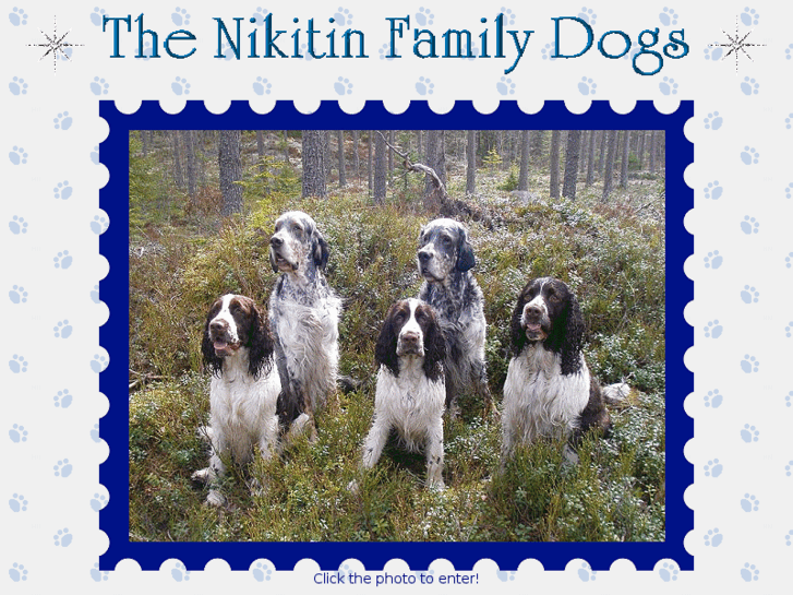 www.nikitindogs.se