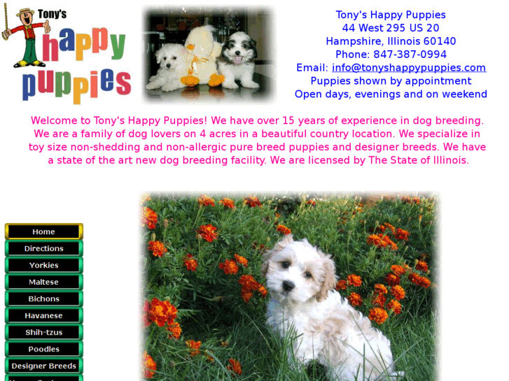 www.tonyshappypuppies.com