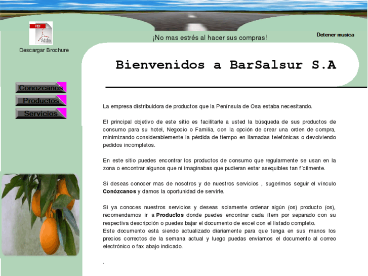 www.barsalsur.com