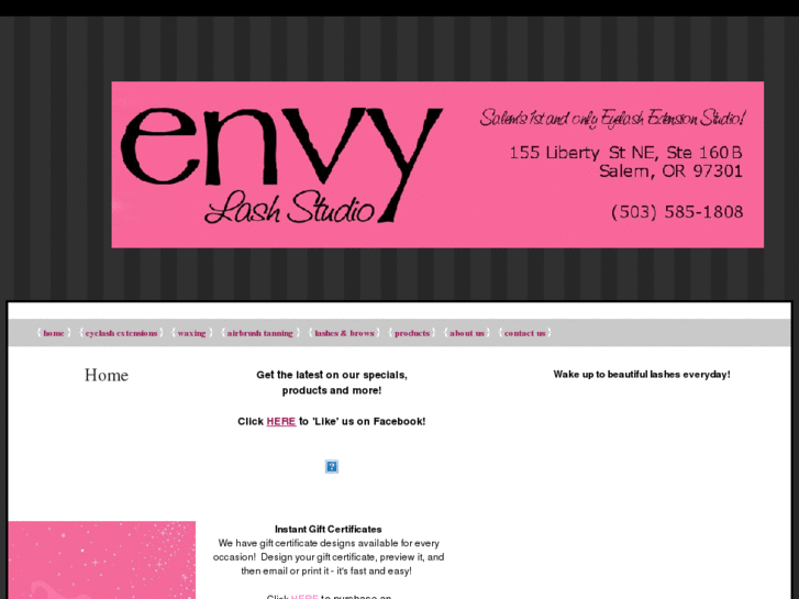 www.envylashstudio.com