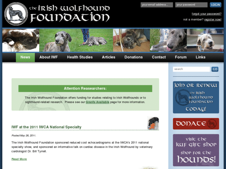 www.irishwolfhoundfoundation.org