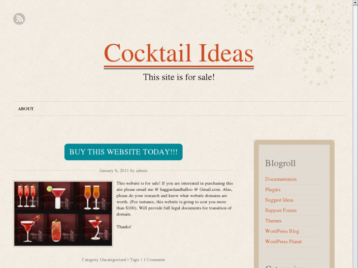 www.cocktailideas.com