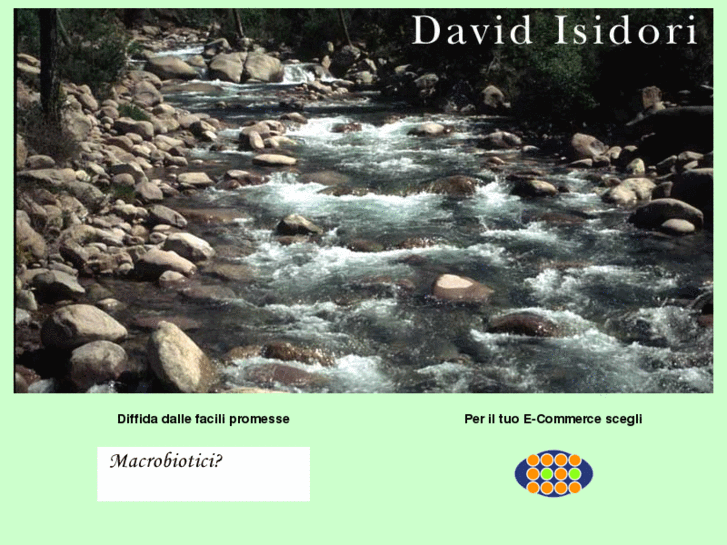 www.davidisidori.com