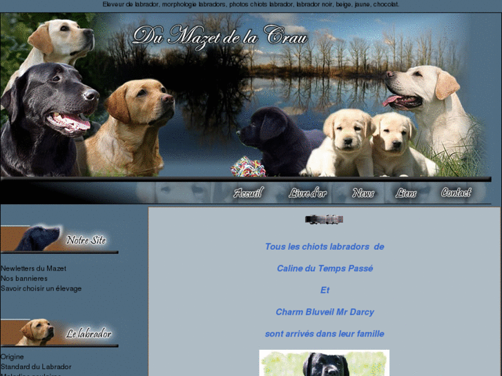 www.labradors-mazetdelacrau.com