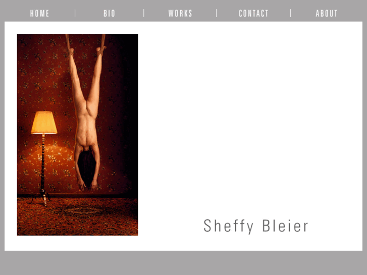 www.sheffybleier.com